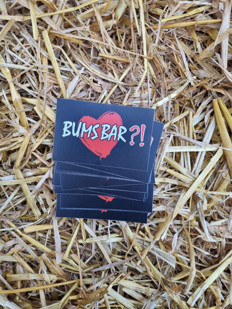 Sticker "B*msbar?!"