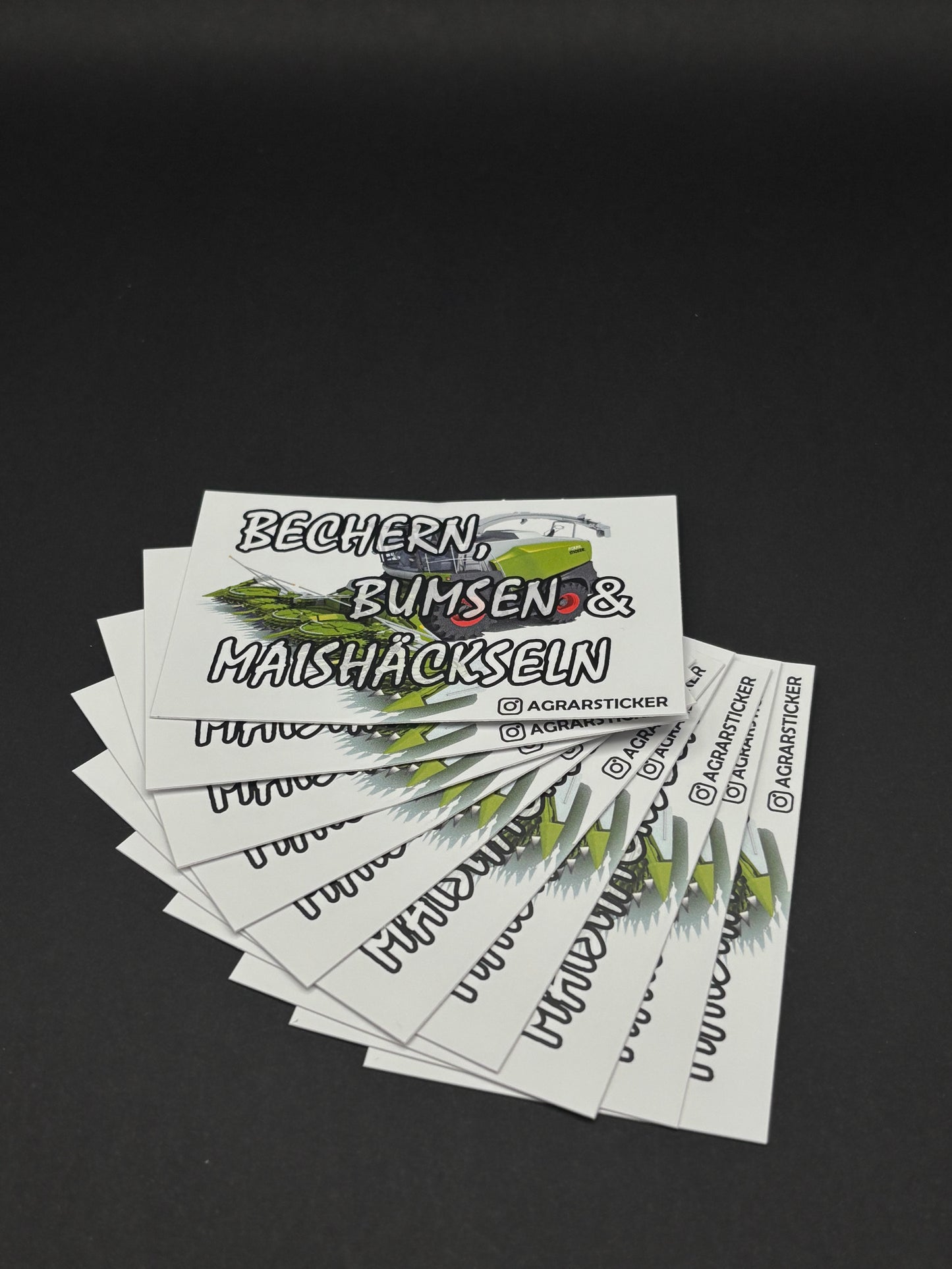 Sticker Instagram "Bechern B*msen & Maishäckseln"