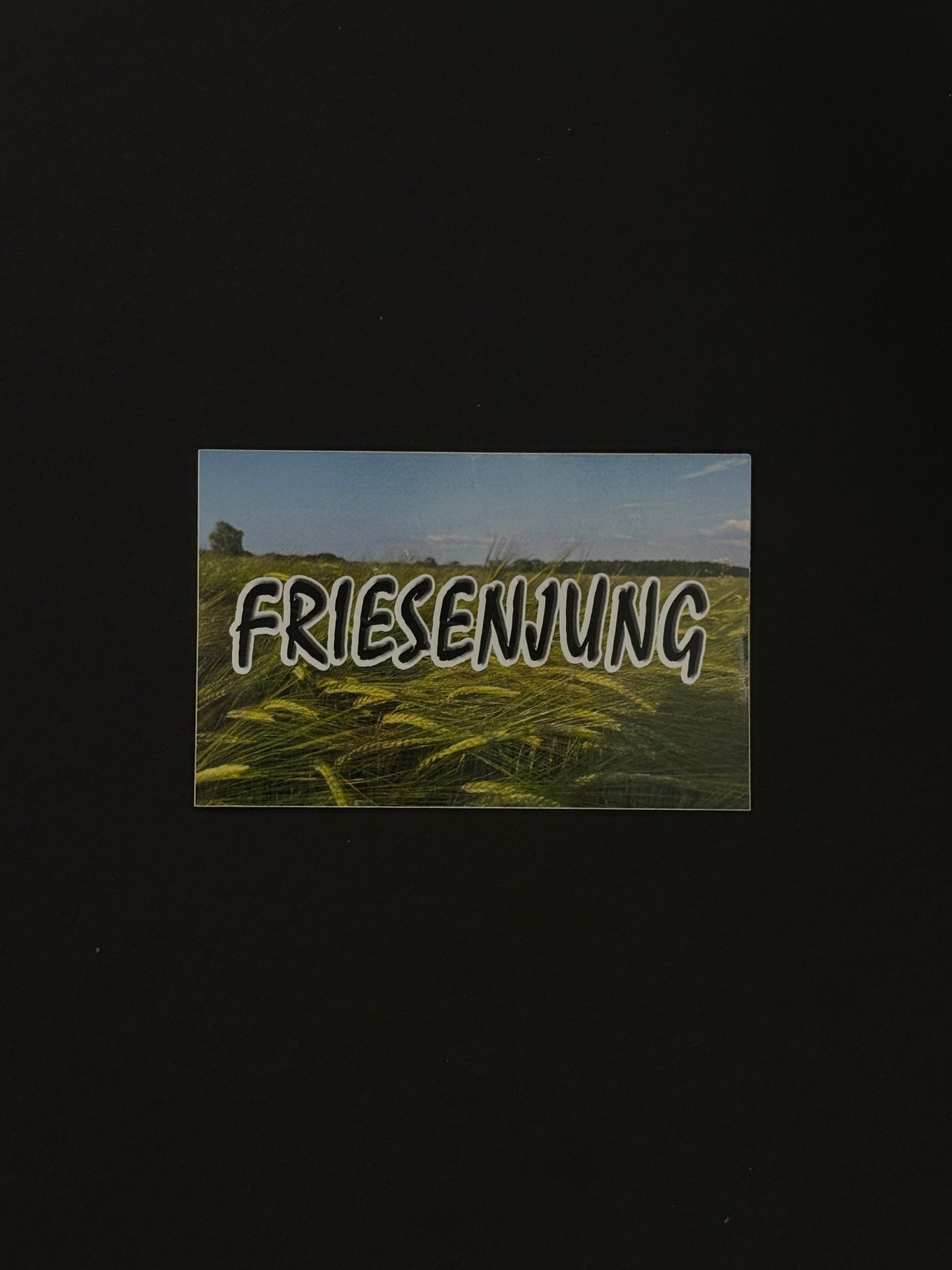 Sticker "Friesenjung"