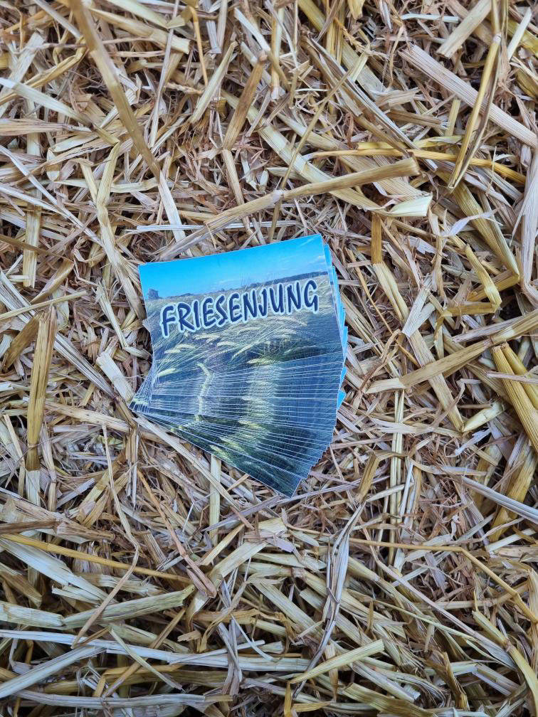 Sticker "Friesenjung"