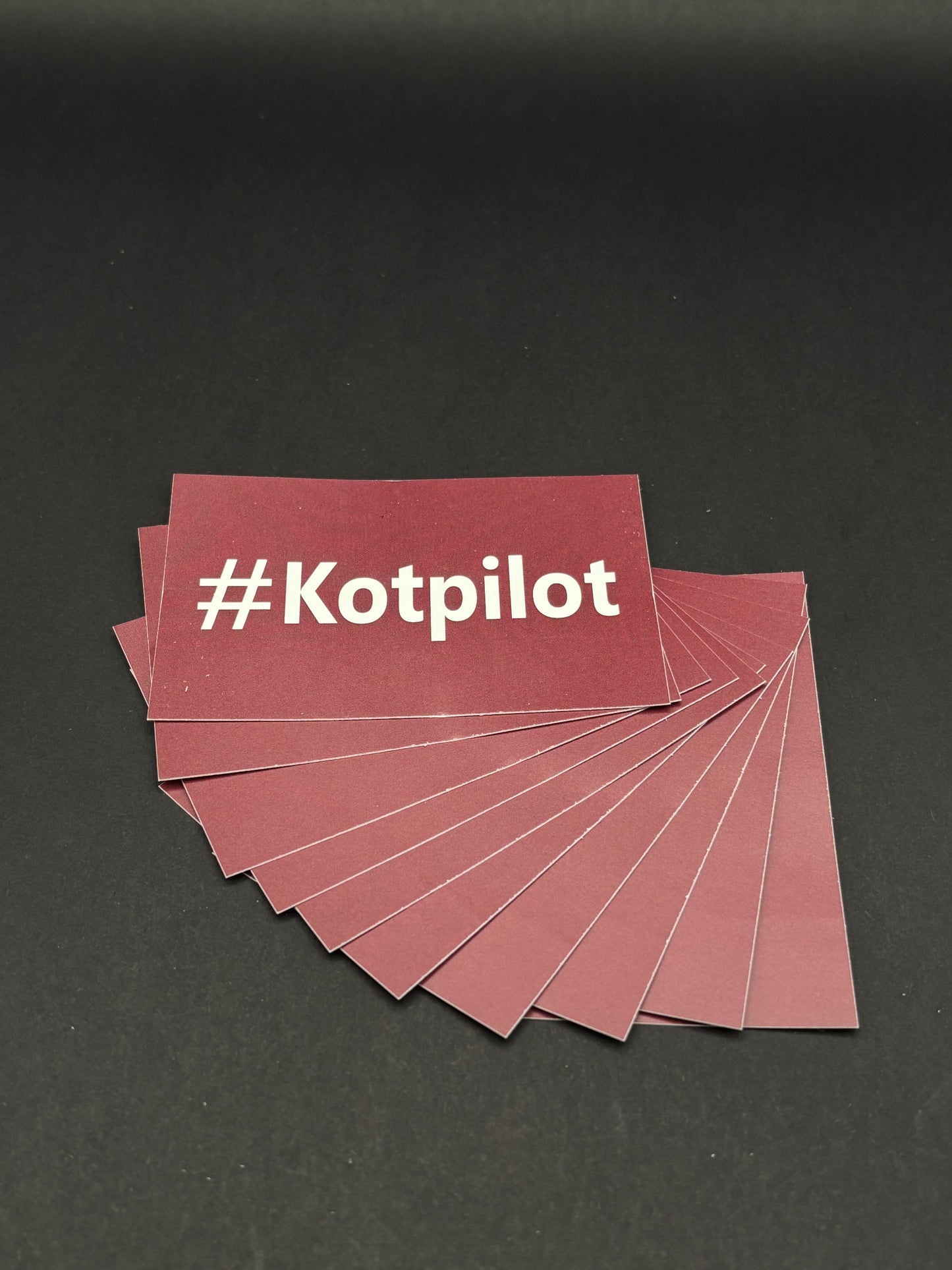 Sticker "#Kotpilot"