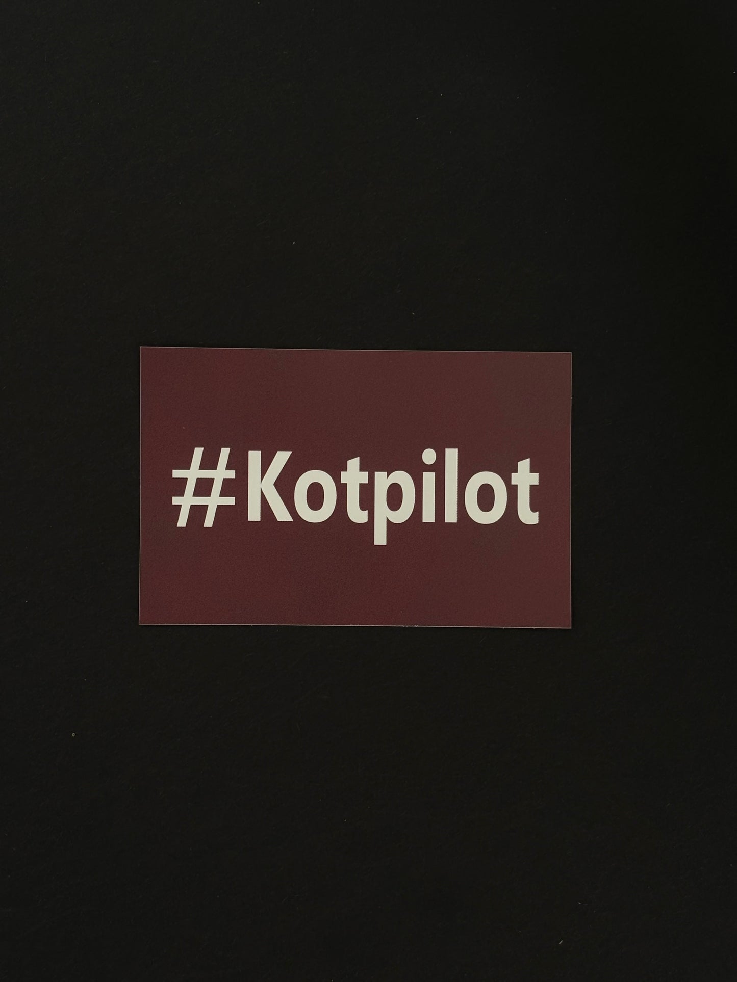 Sticker "#Kotpilot"