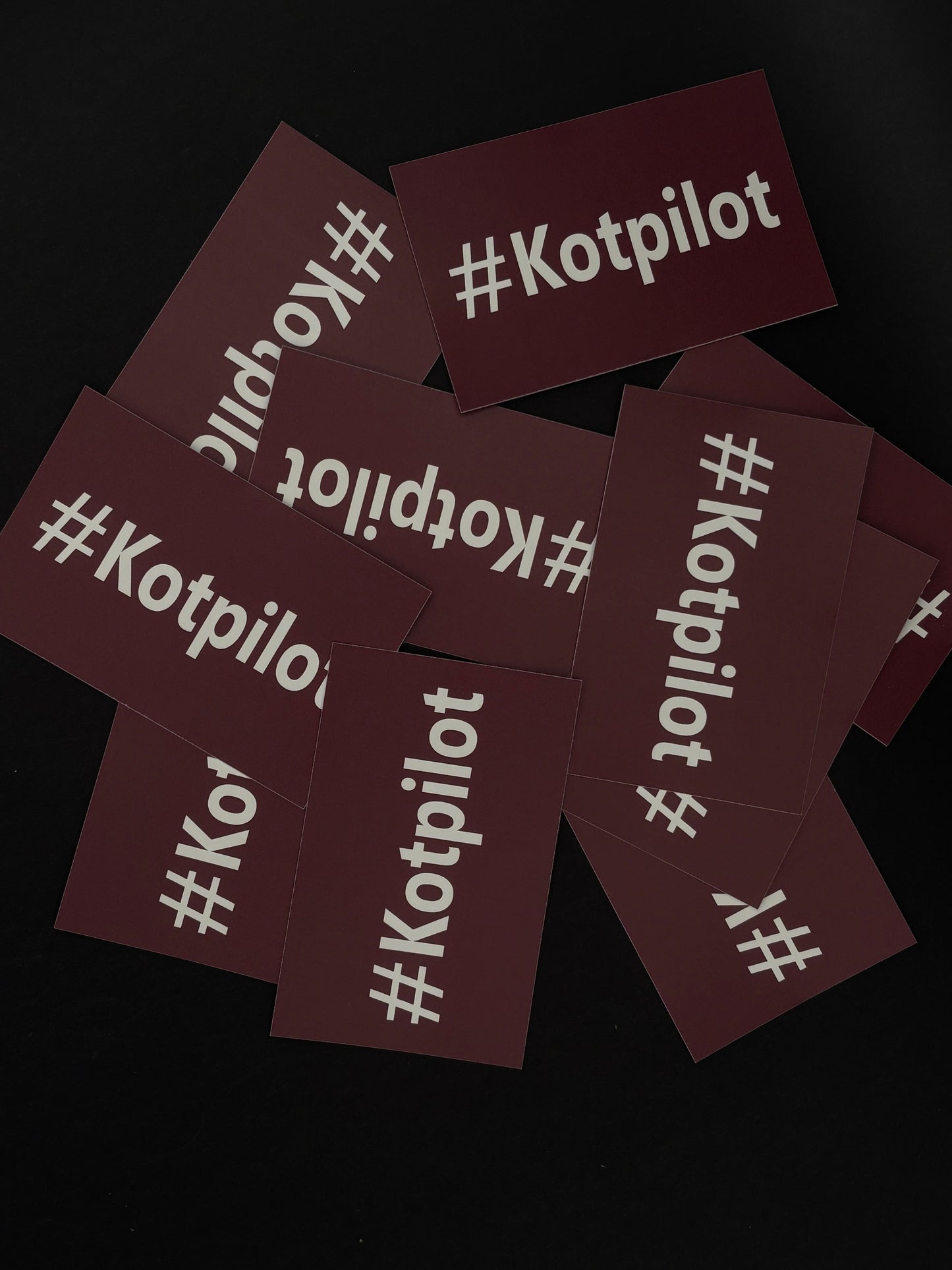 Sticker "#Kotpilot"