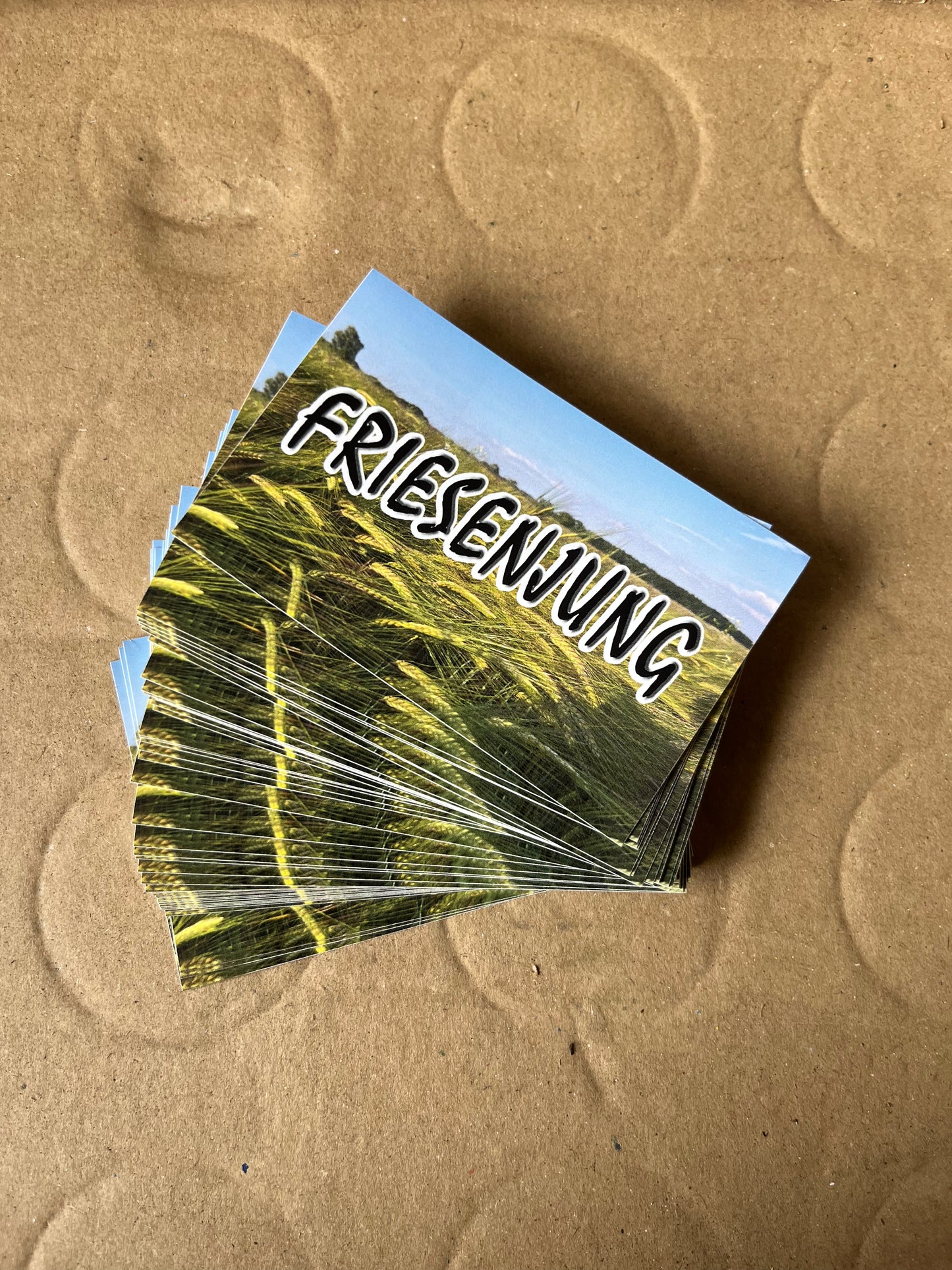 Sticker "Friesenjung"