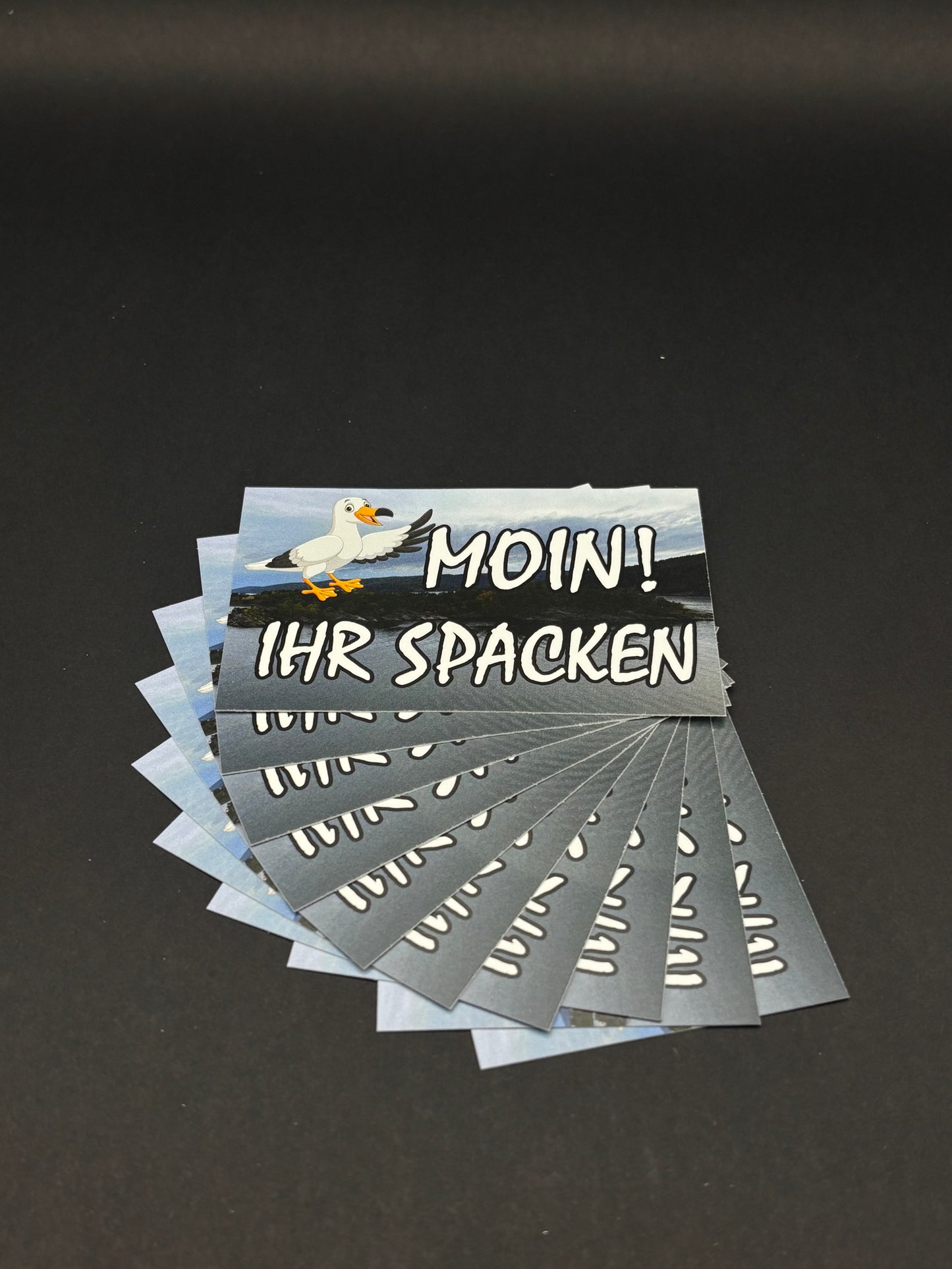 Sticker "Moin! ihr Spacken"