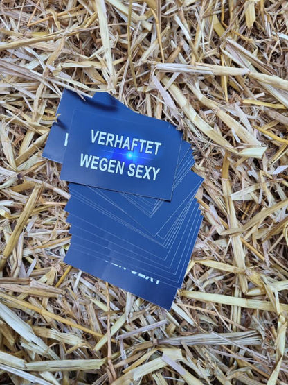 Sticker "Verhaftet wegen S*xy"