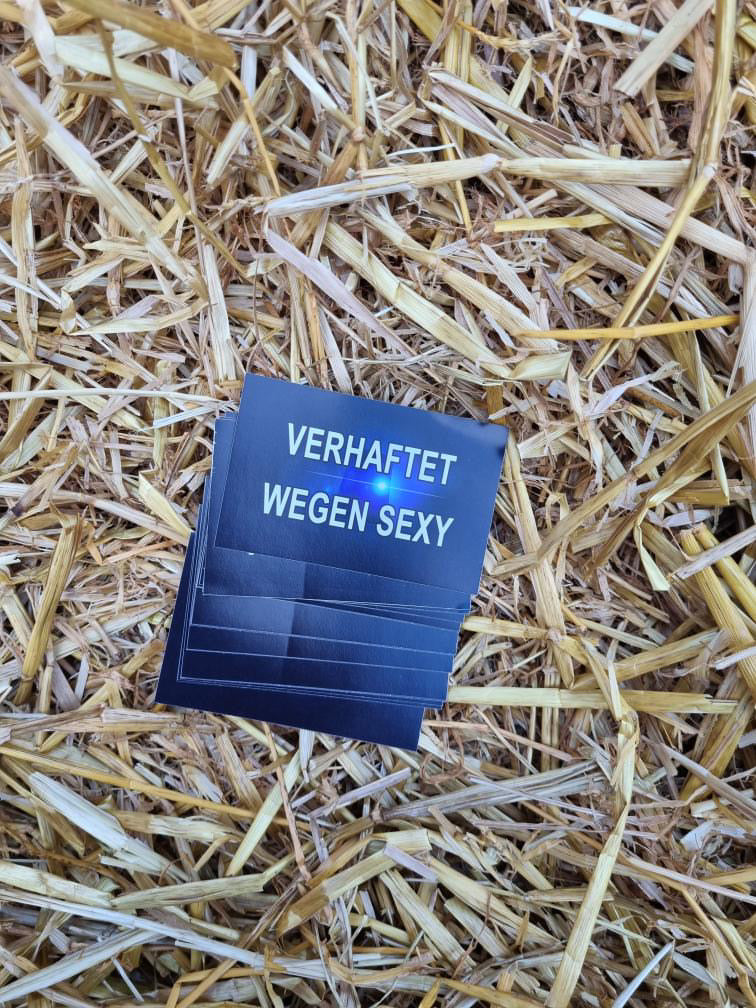 Sticker "Verhaftet wegen S*xy"