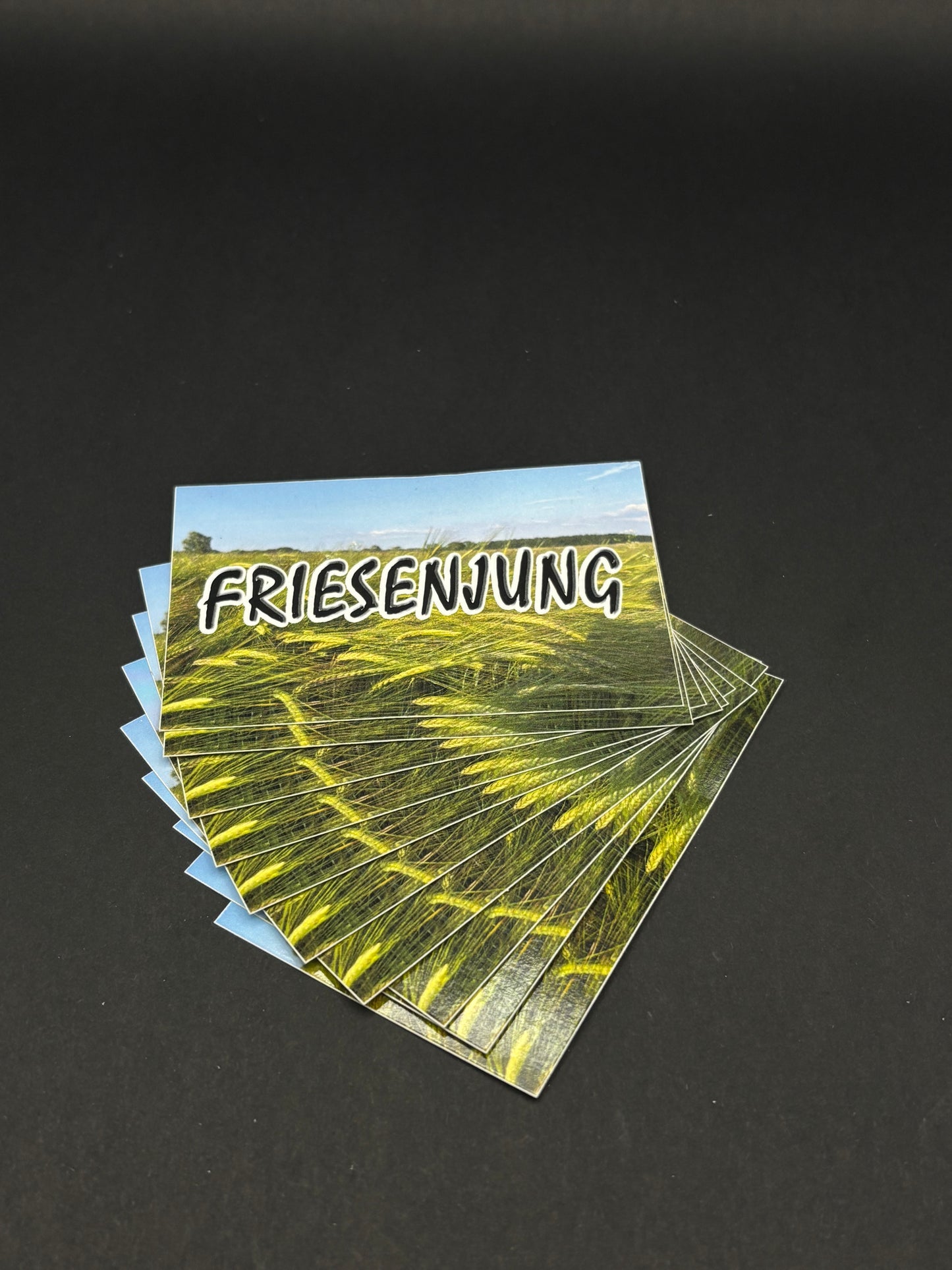 Sticker "Friesenjung"