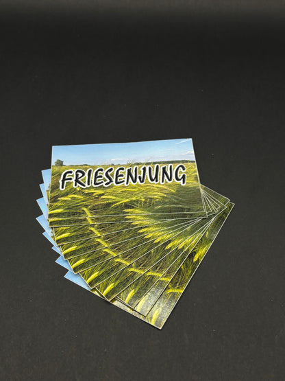 Sticker "Friesenjung"