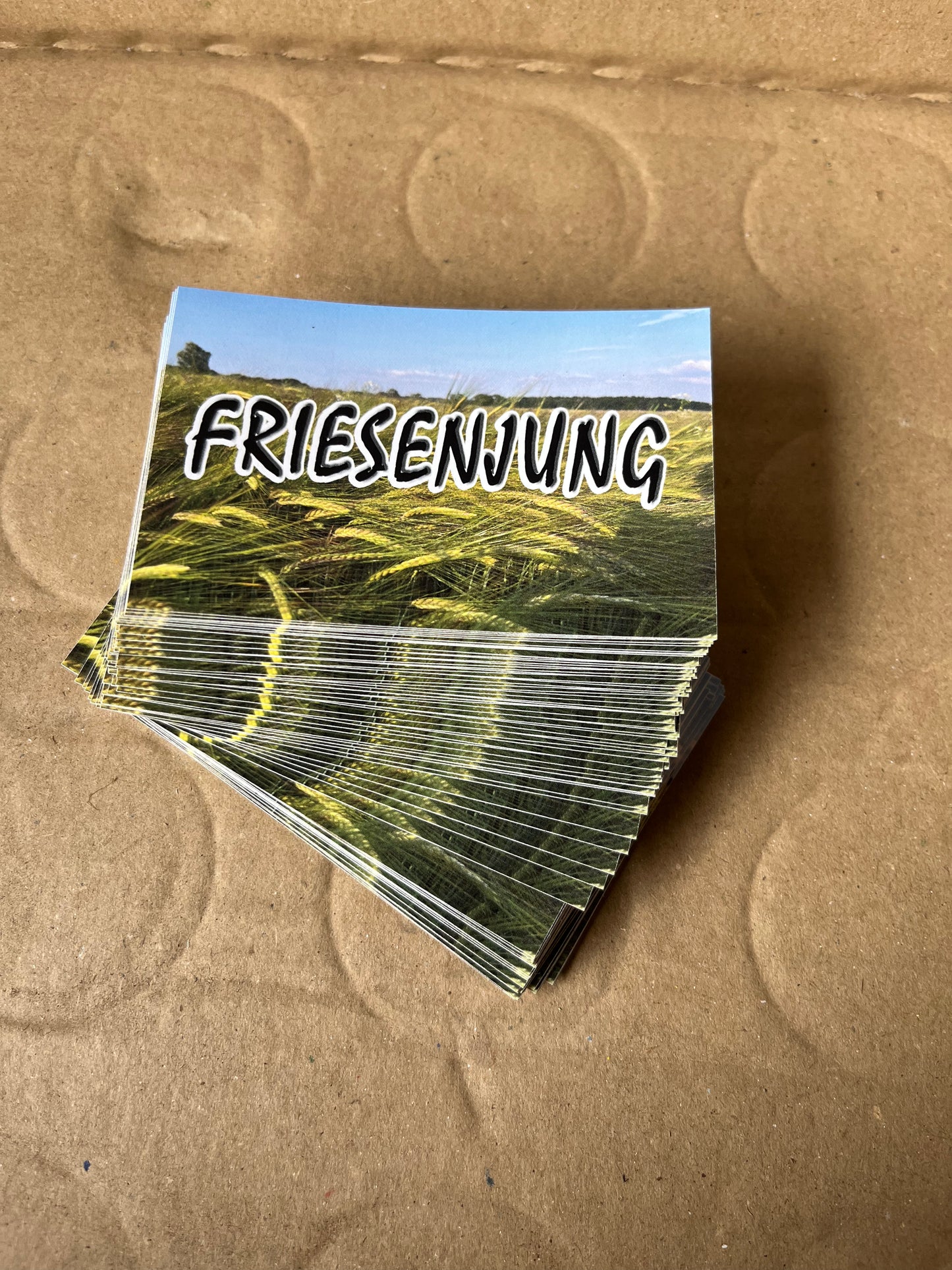 Sticker "Friesenjung"
